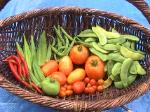 Garden-Produce-2010-09-03