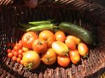 Garden-Produce-2010-09-07